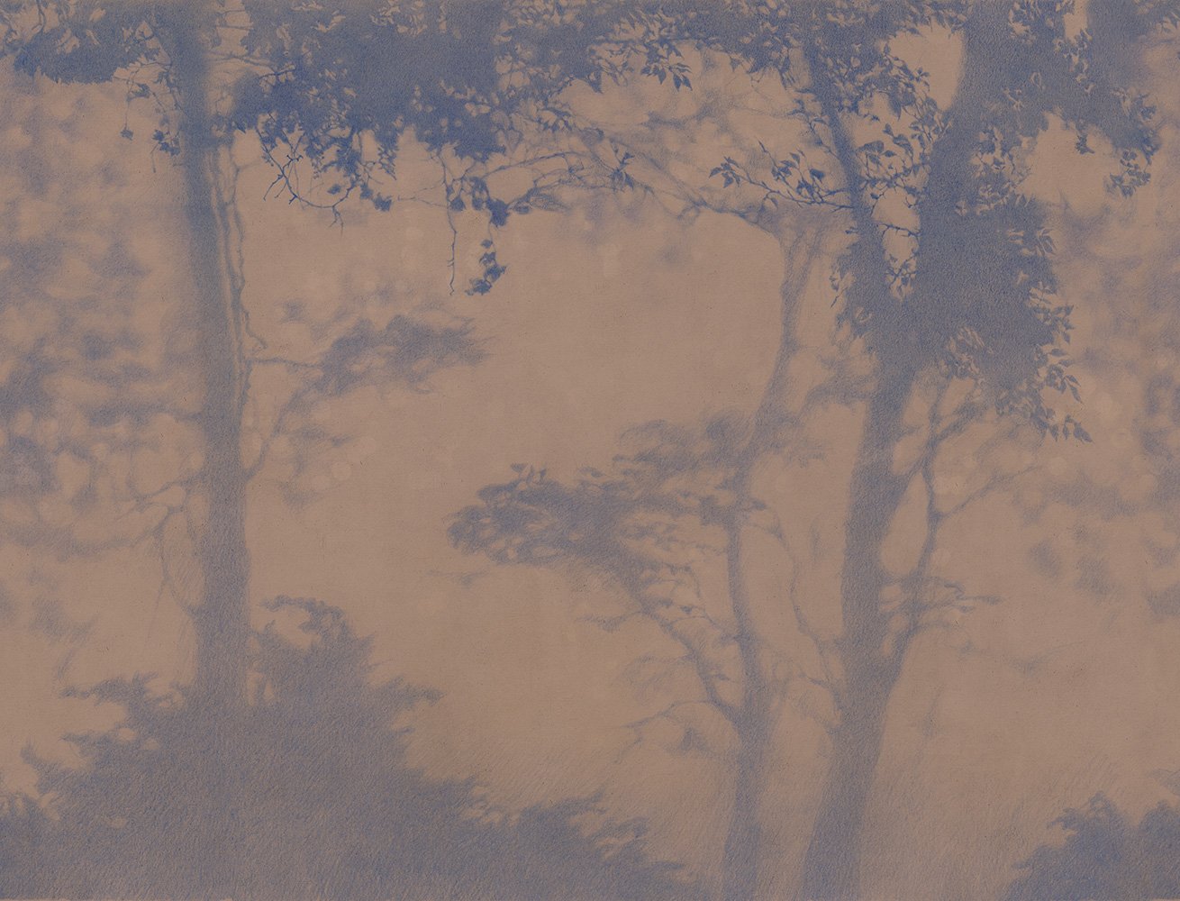 Фотообои и панно Siesta 5_0 на сайте OboiVkus.by