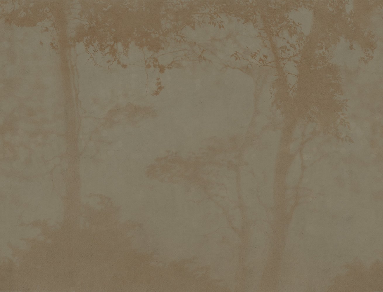 Фотообои и панно Siesta 8_0 на сайте OboiVkus.by