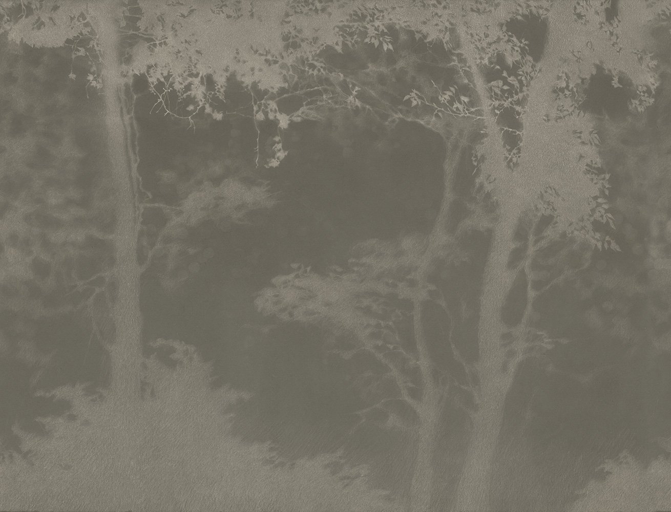 Фотообои и панно Siesta 9_0 на сайте OboiVkus.by