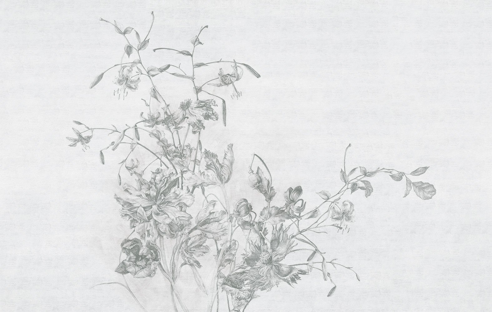 Фотообои и панно Insante 2_0 на сайте OboiVkus.by