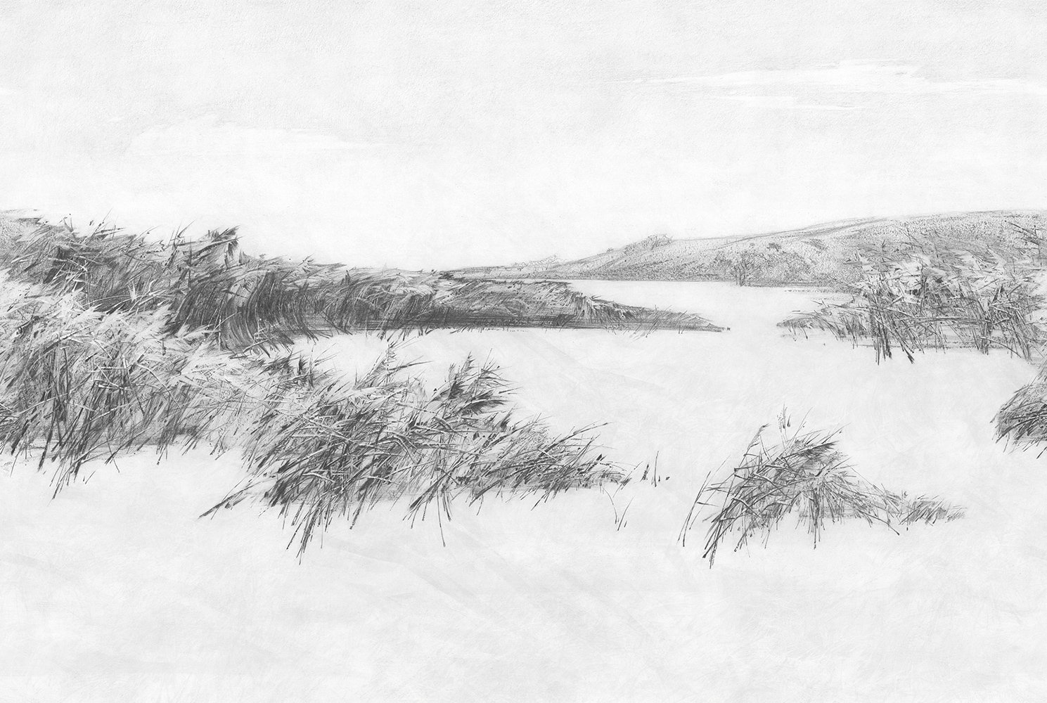 Фотообои и панно Reeds 1_0 на сайте OboiVkus.by