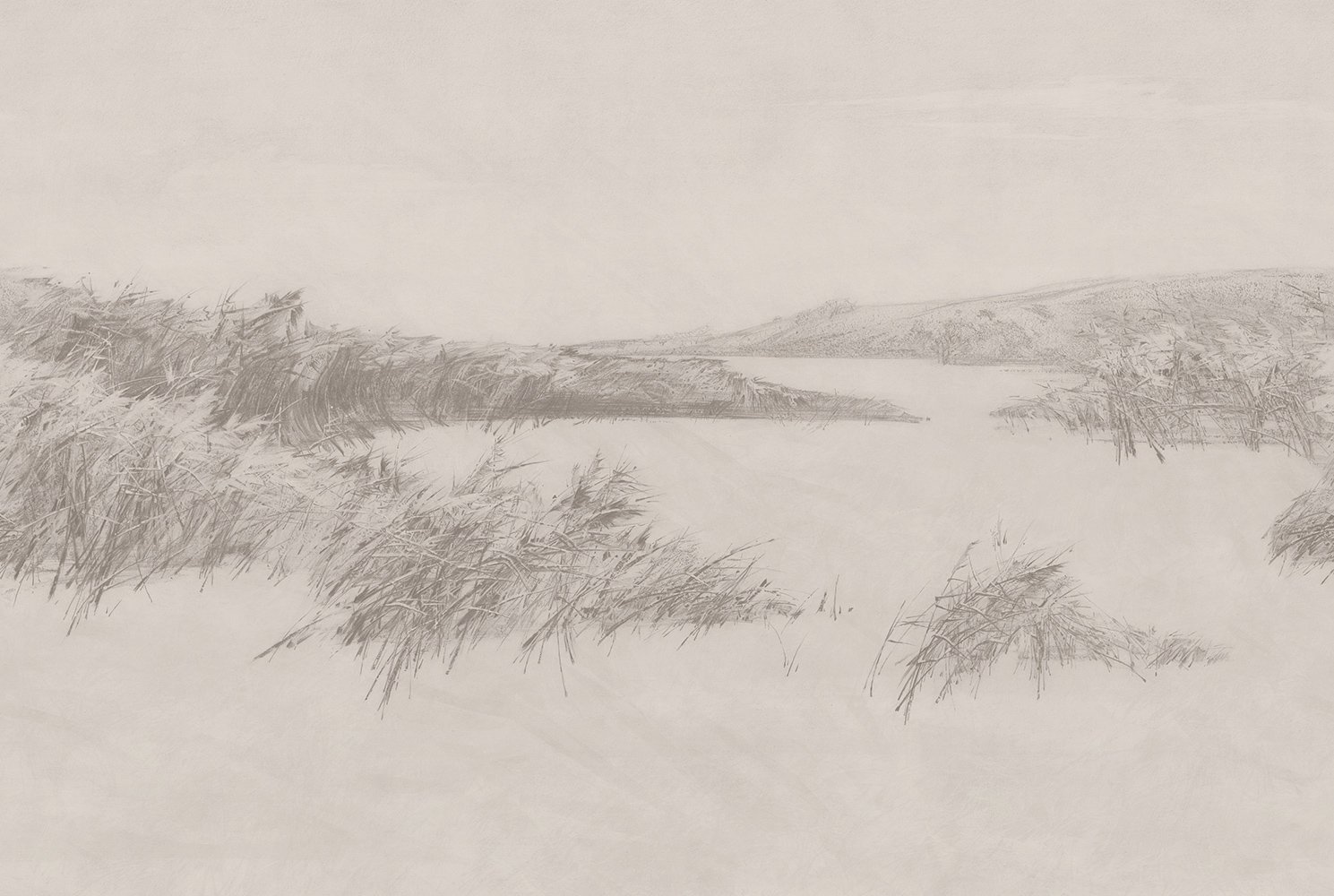 Фотообои и панно Reeds 3_0 на сайте OboiVkus.by