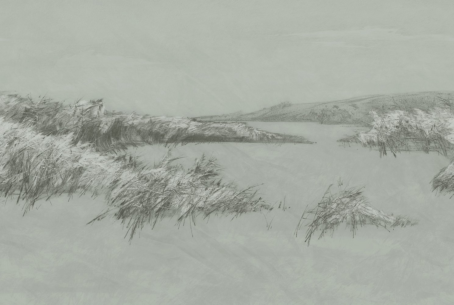 Фотообои и панно Reeds 4_0 на сайте OboiVkus.by