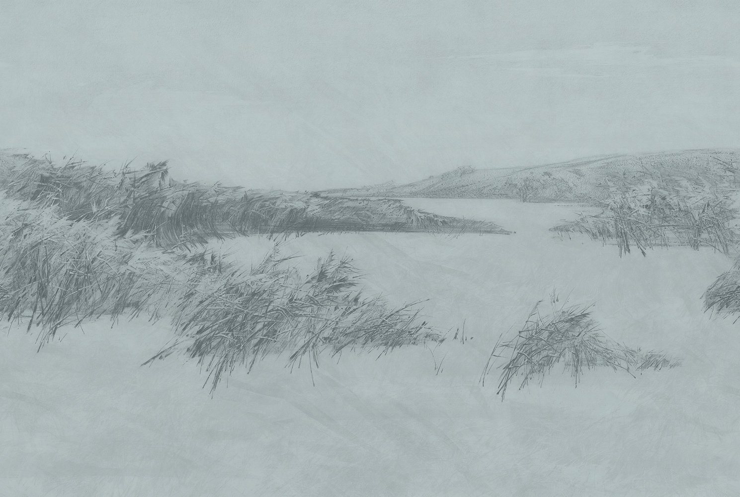 Фотообои и панно Reeds 5_0 на сайте OboiVkus.by