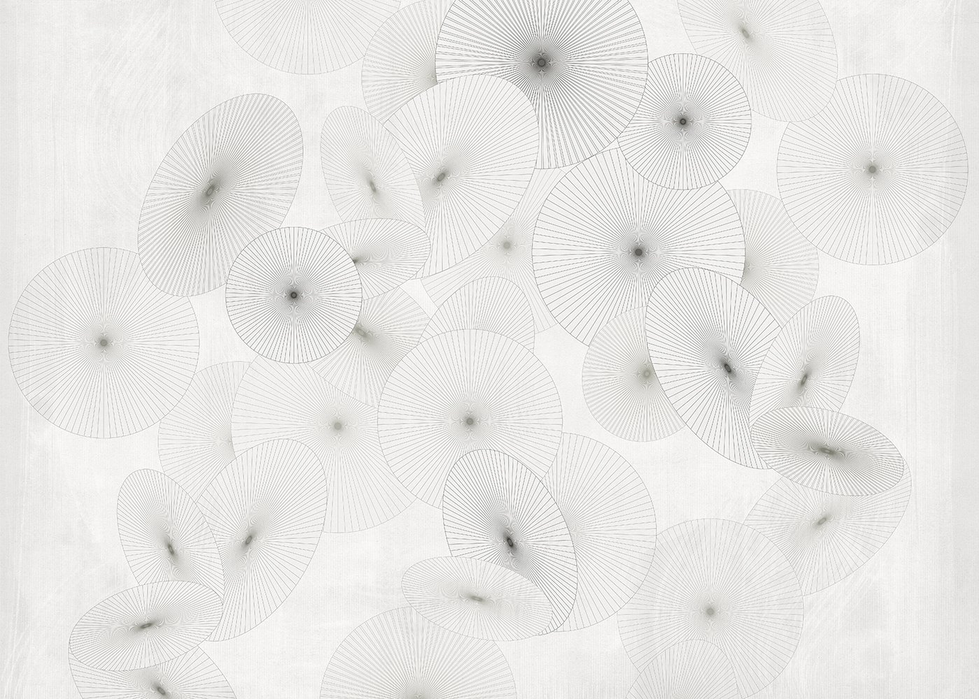 Фотообои и панно Wagasa 1_0 на сайте OboiVkus.by