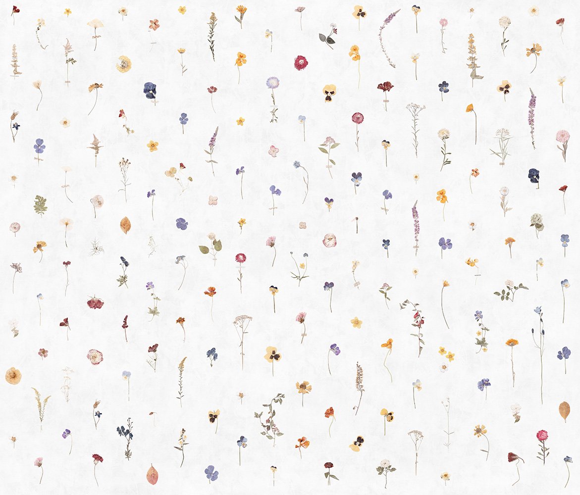 Фотообои и панно Fragility 2_0 на сайте OboiVkus.by