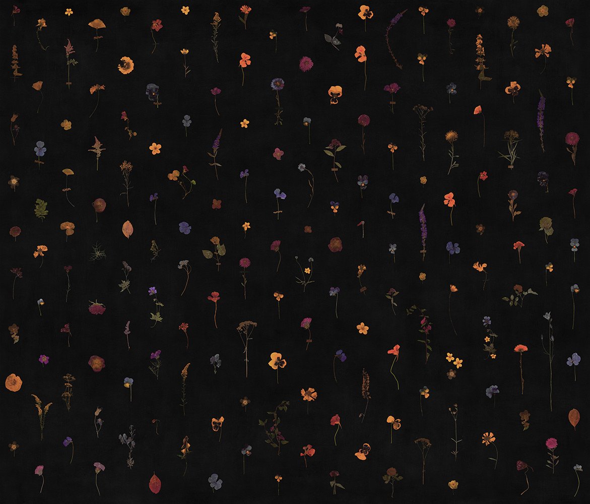 Фотообои и панно Fragility 5_0 на сайте OboiVkus.by