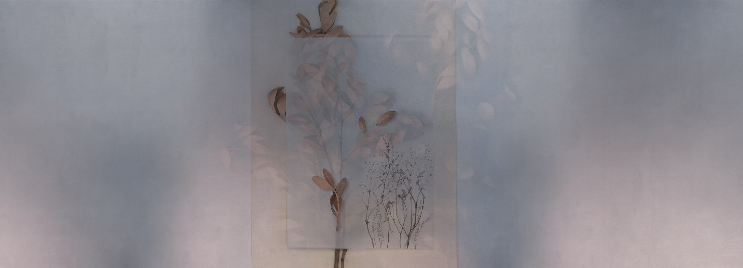 Фотообои и панно Evigilatio 1_0 на сайте OboiVkus.by