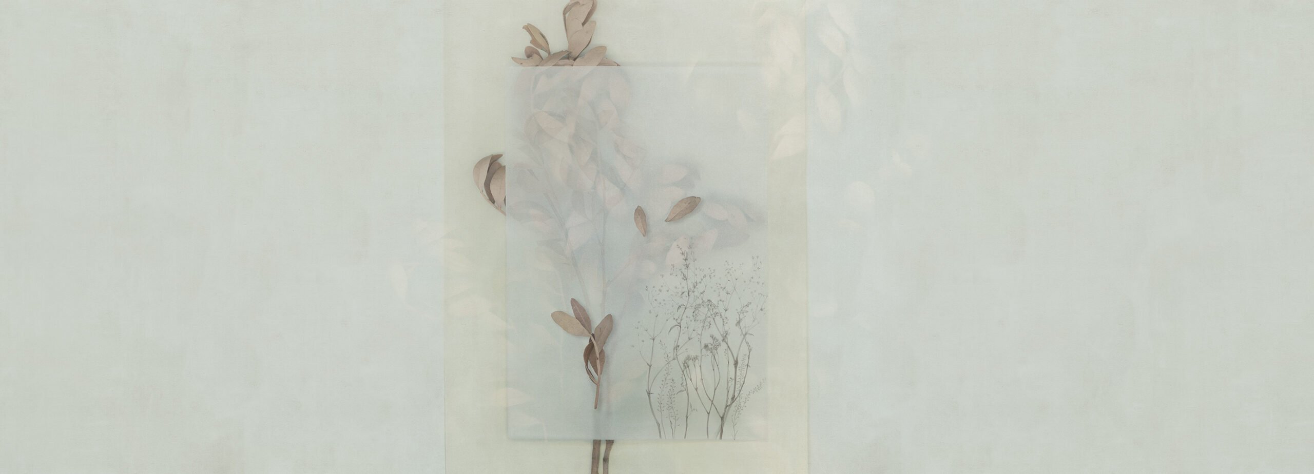 Фотообои и панно Evigilatio 4_0 на сайте OboiVkus.by