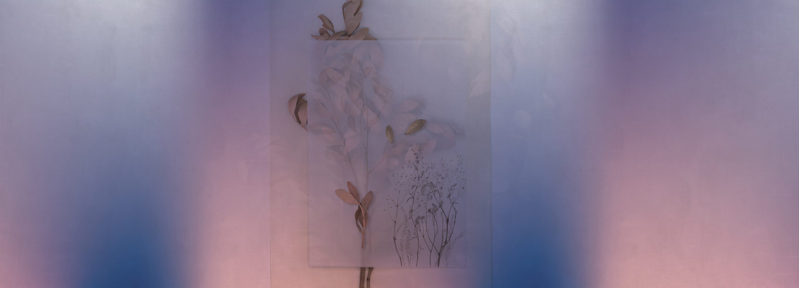 Фотообои и панно Evigilatio 6_0 на сайте OboiVkus.by