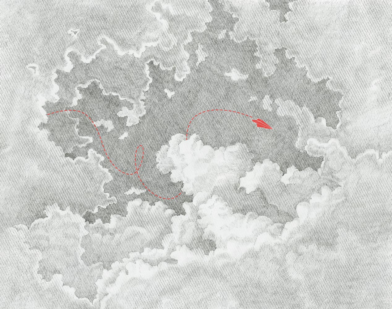 Фотообои и панно Airplane 1_0 на сайте OboiVkus.by