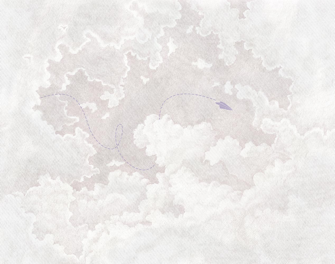 Фотообои и панно Airplane 3_0 на сайте OboiVkus.by