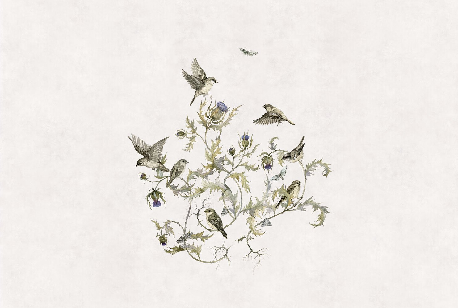 Фотообои и панно Vivaldi 1_0 на сайте OboiVkus.by