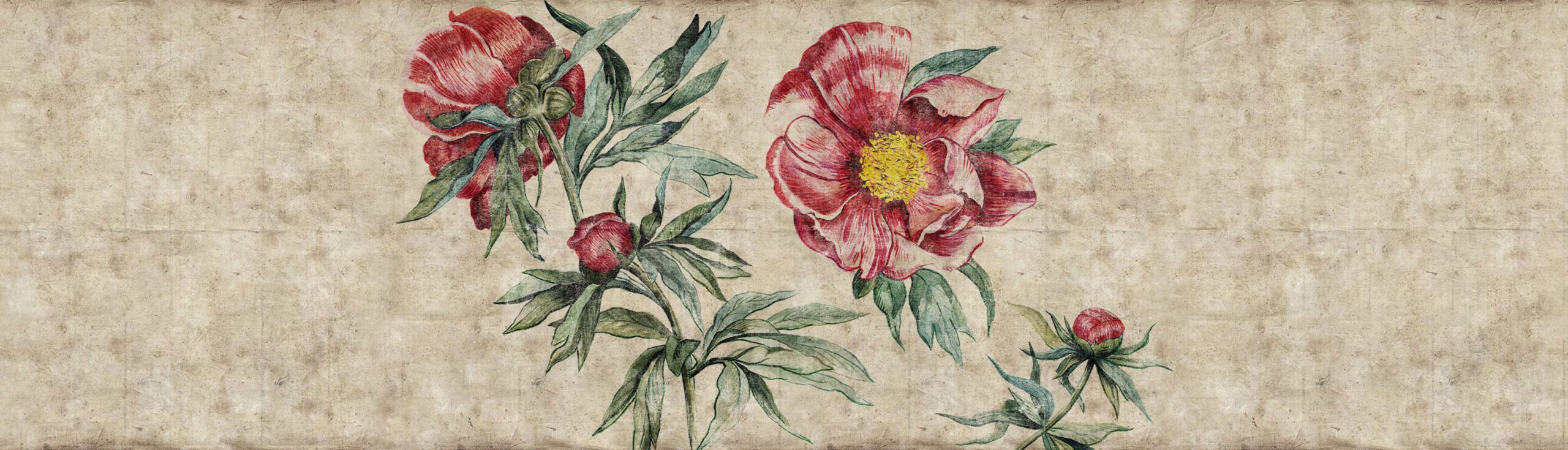 Фотообои и панно Red Peony 1_0 на сайте OboiVkus.by