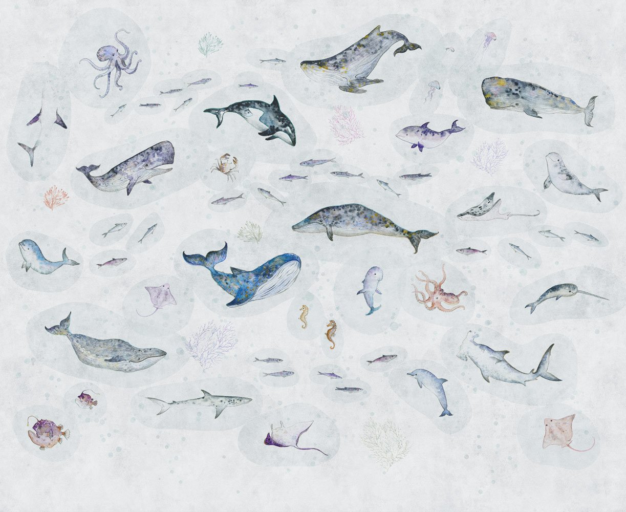 Фотообои и панно Marine Life 1_0 на сайте OboiVkus.by
