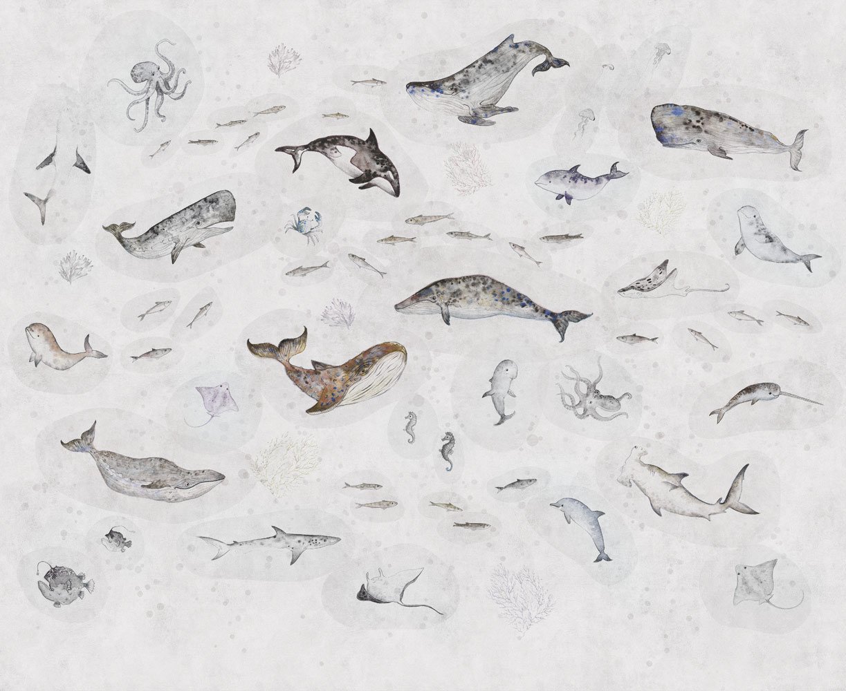Фотообои и панно Marine Life 2_0 на сайте OboiVkus.by