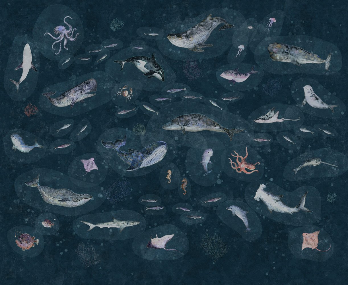 Фотообои и панно Marine Life 3_0 на сайте OboiVkus.by
