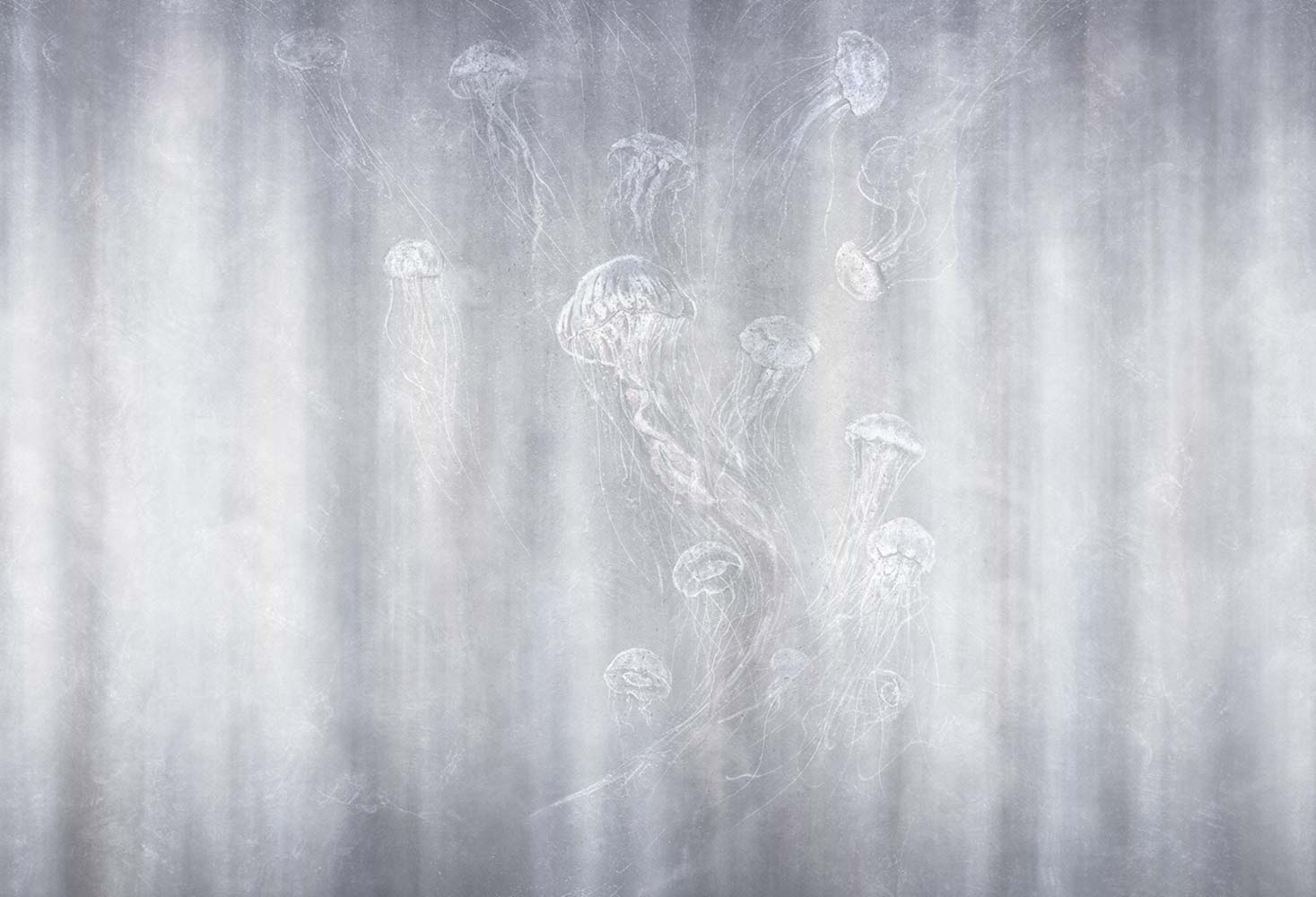 Фотообои и панно Mistery 8_0 на сайте OboiVkus.by