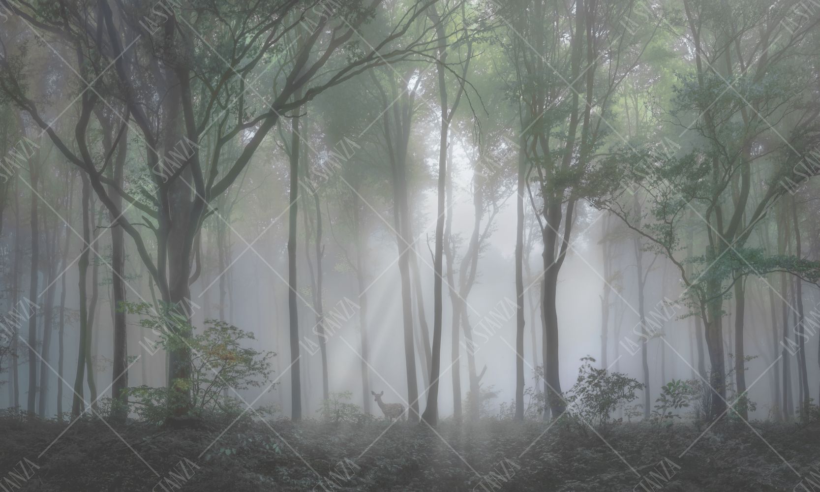 Фрески Alba Natura 800170_0 на сайте OboiVkus.by