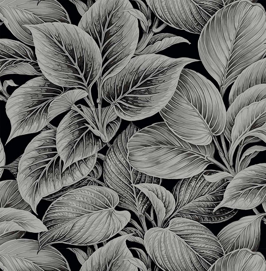 Обои WS70300_0 на сайте OboiVkus.by