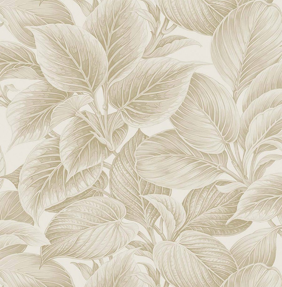 Обои WS70305_0 на сайте OboiVkus.by