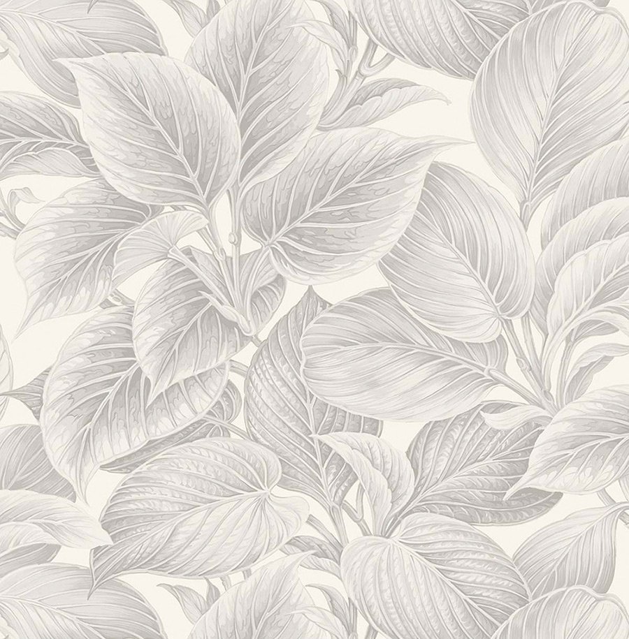 Обои WS70308_0 на сайте OboiVkus.by