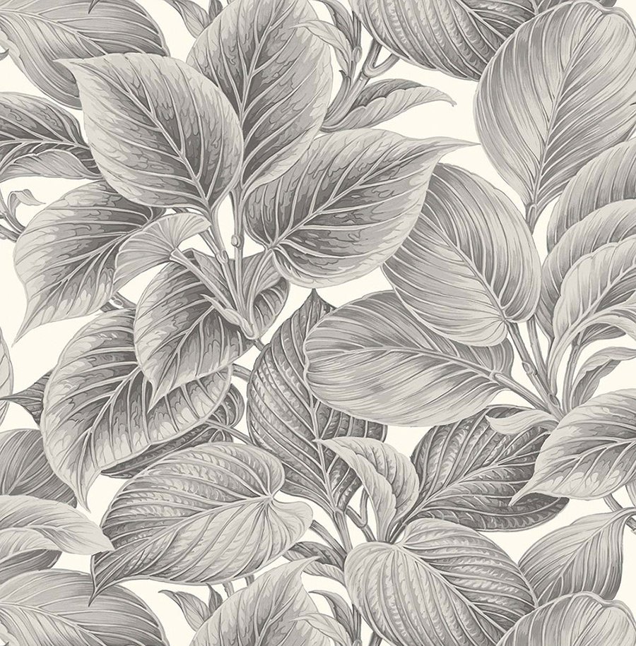 Обои WS70318_0 на сайте OboiVkus.by