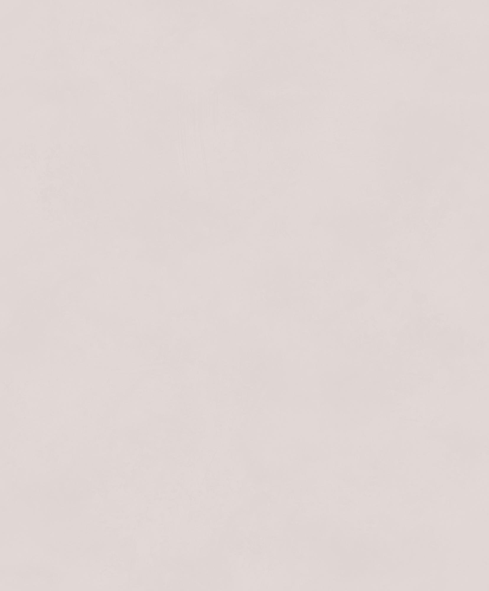 Обои BLONE1022_0 на сайте OboiVkus.by