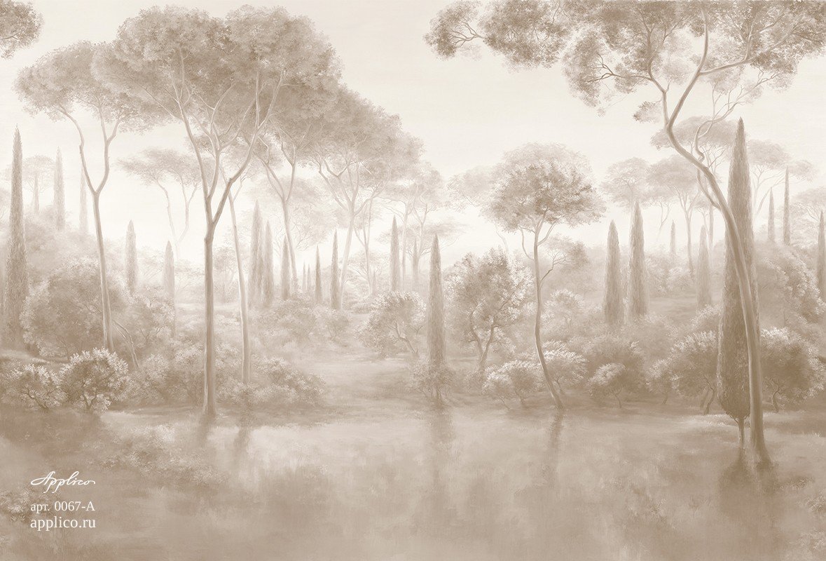 Кипарисы OP 0067-B