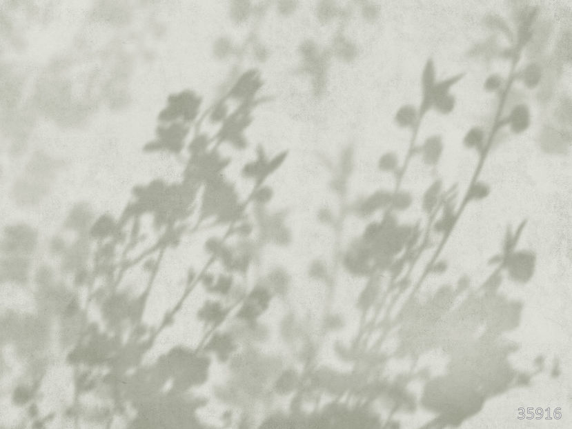 Фрески 35916 (Vento)_0 на сайте OboiVkus.by