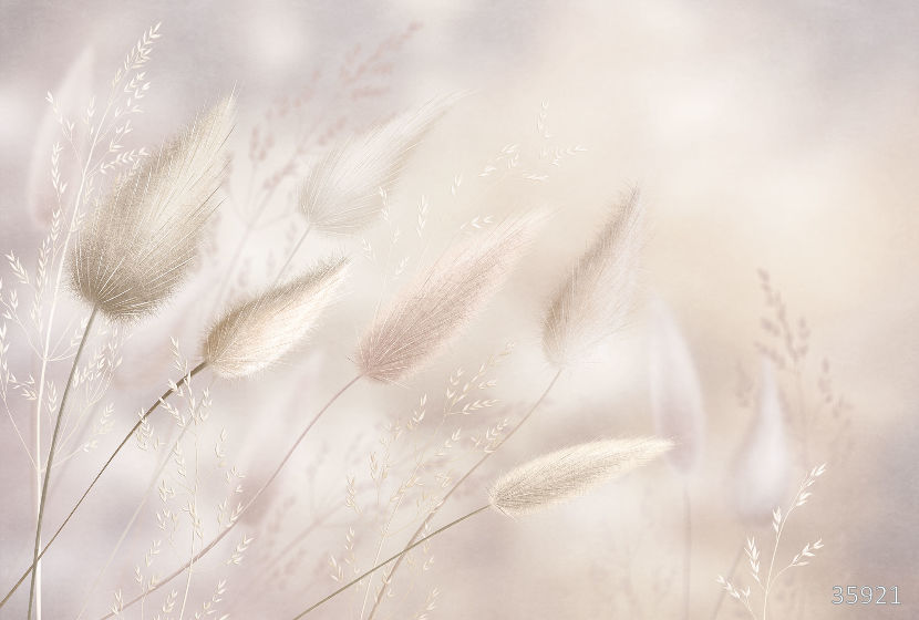 Фрески 35921 (Vento)_0 на сайте OboiVkus.by