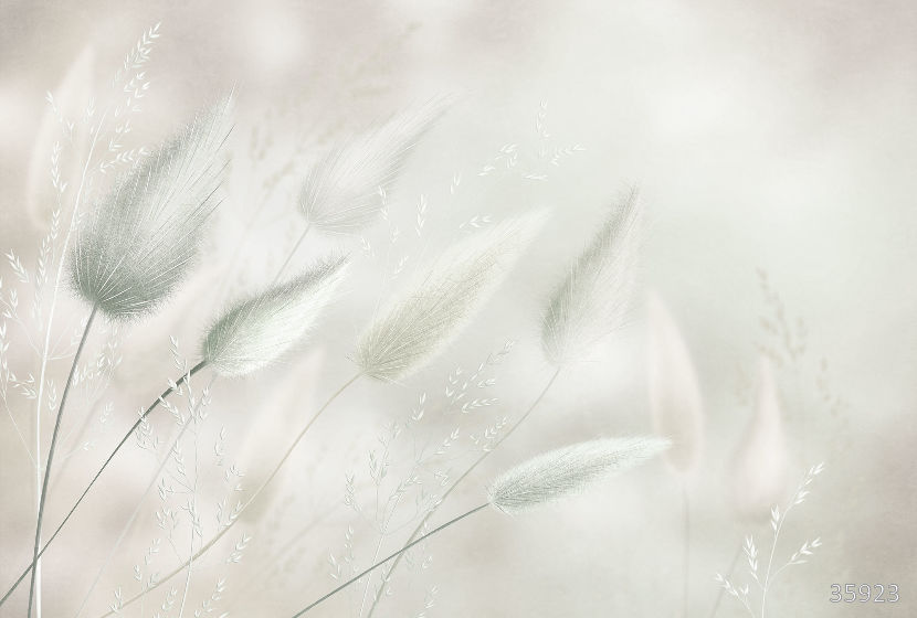 Фрески 35923 (Vento)_0 на сайте OboiVkus.by