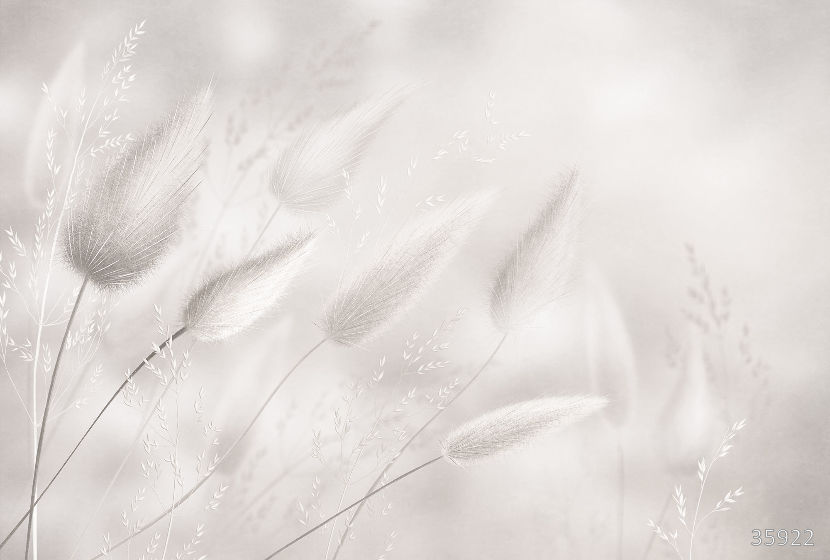 Фрески 35922 (Vento)_0 на сайте OboiVkus.by