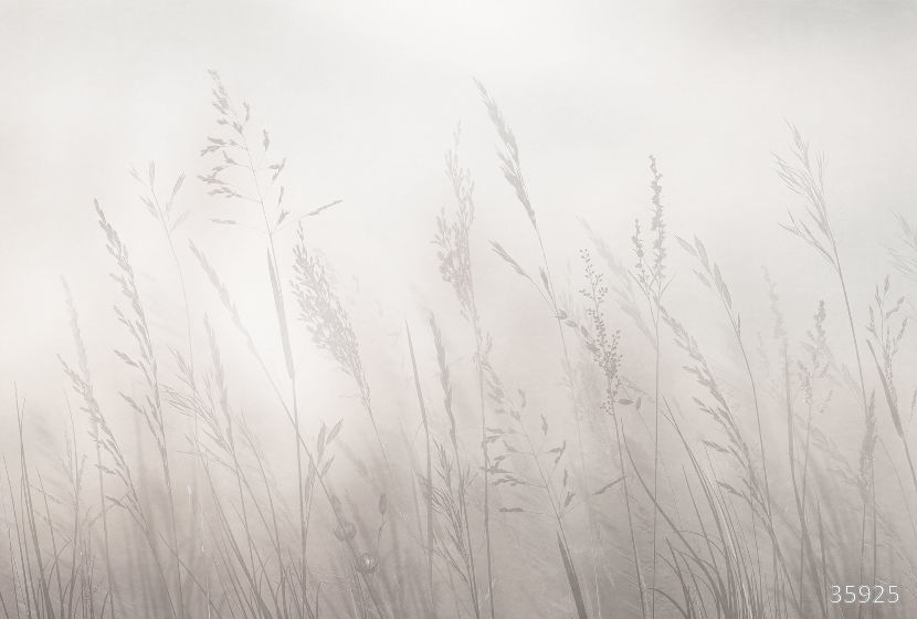 Фрески 35925 (Vento)_0 на сайте OboiVkus.by