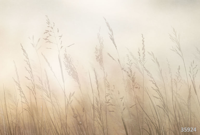 Фрески 35924 (Vento)_0 на сайте OboiVkus.by