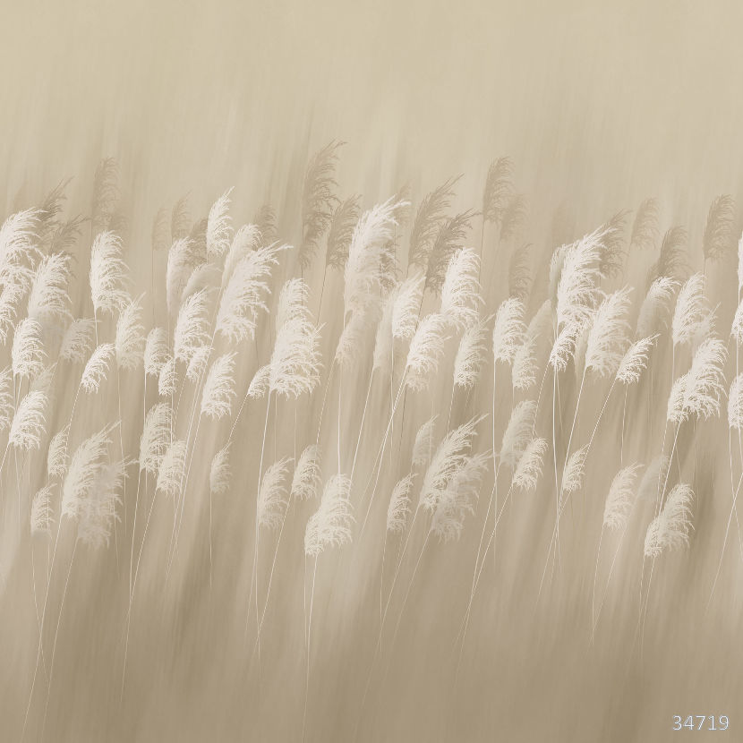 Фрески 34719 (Flower Dreams 2)_0 на сайте OboiVkus.by