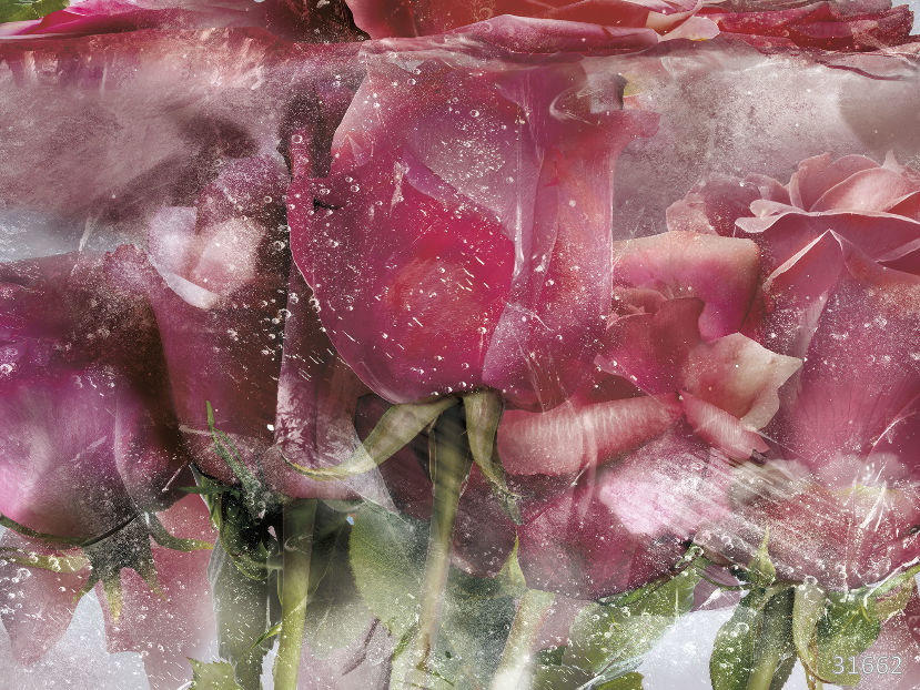 Фрески 31662 (Flower Dreams)_0 на сайте OboiVkus.by