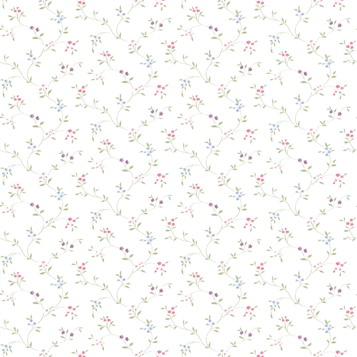 Обои PF38105_0 на сайте OboiVkus.by