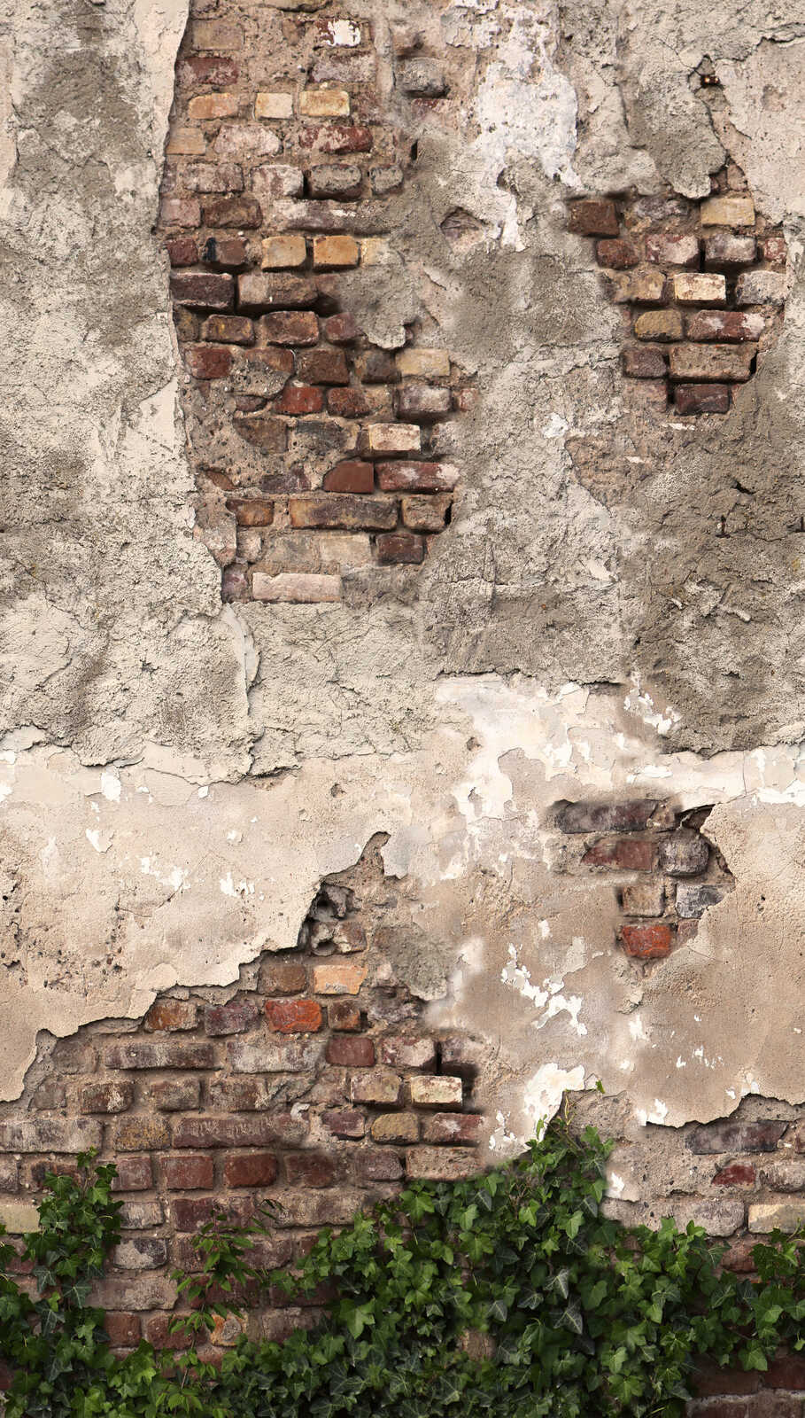 Фотообои и панно 792267 (The Wall 4)_0 на сайте OboiVkus.by