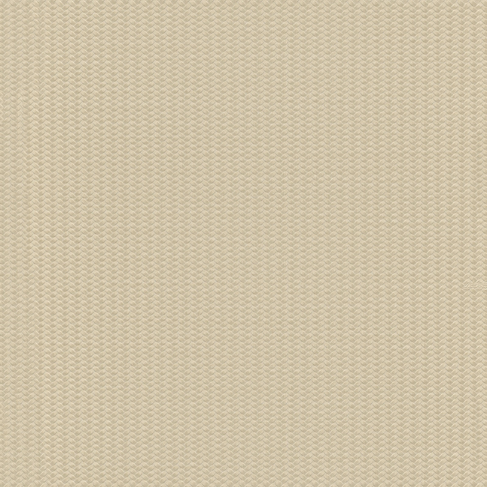 Обои Z12834_0 на сайте OboiVkus.by