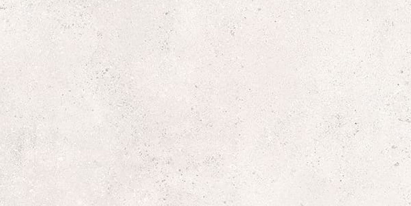 Alatau White MR G400 60*120