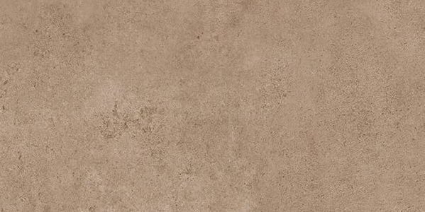 Koiva Brown MR G254 60*120