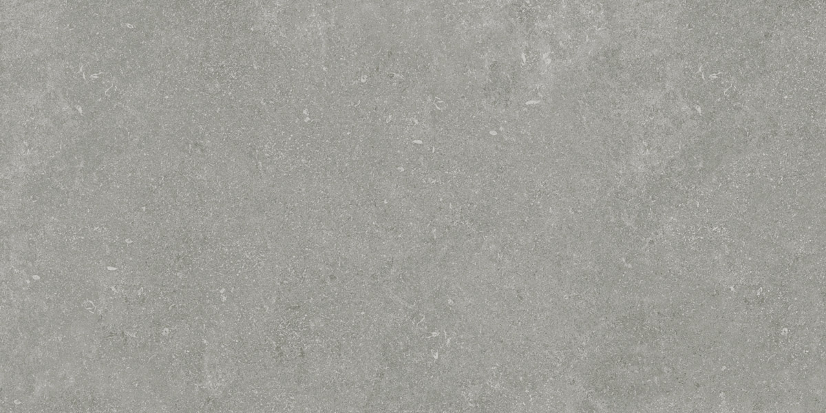 Глория Серый SR 60*120
