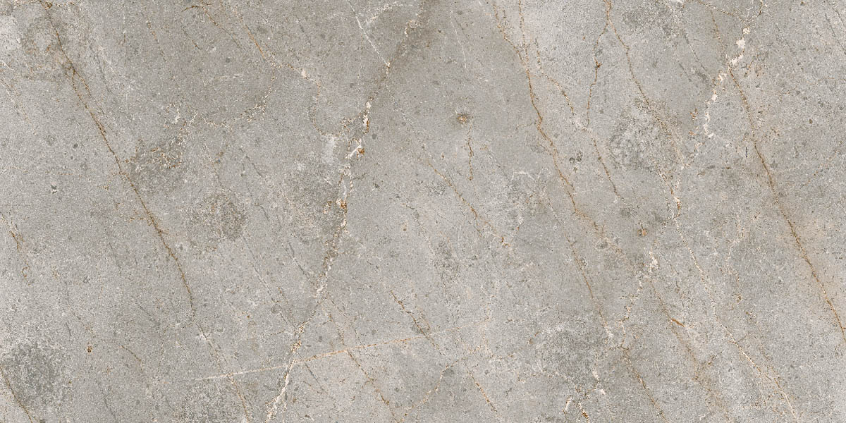 Керамогранит и плитка Бардильо Классик SR 60*120_8 на сайте OboiVkus.by
