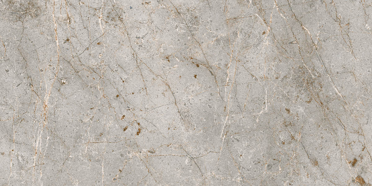 Керамогранит и плитка Бардильо Классик SR 60*120_9 на сайте OboiVkus.by