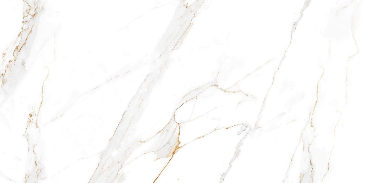 Керамогранит и плитка AB1144G Regal Carrara 60*120_9 на сайте OboiVkus.by